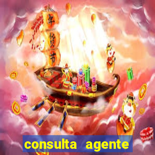 consulta agente autuador sp